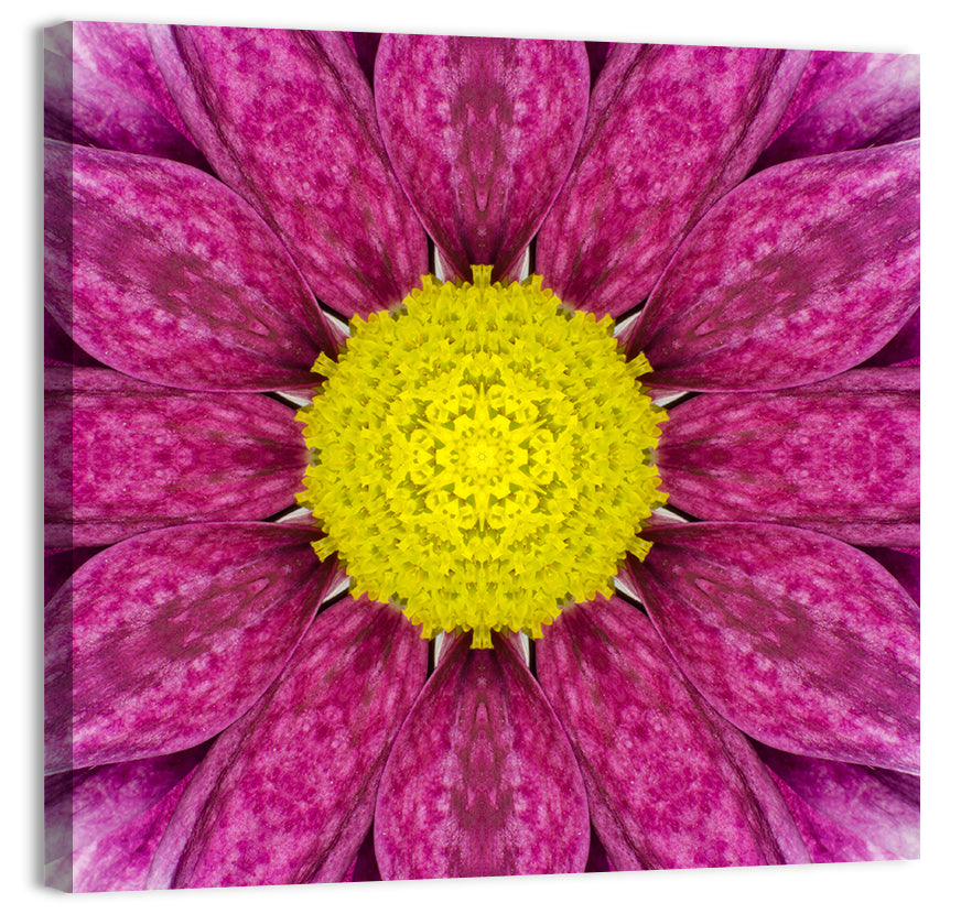 Kaleidoscopic Daisy Mandala Close Up Wall Art, canvas print, square