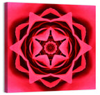 Kaleidoscopic Rose Petal Mandala Wall Art