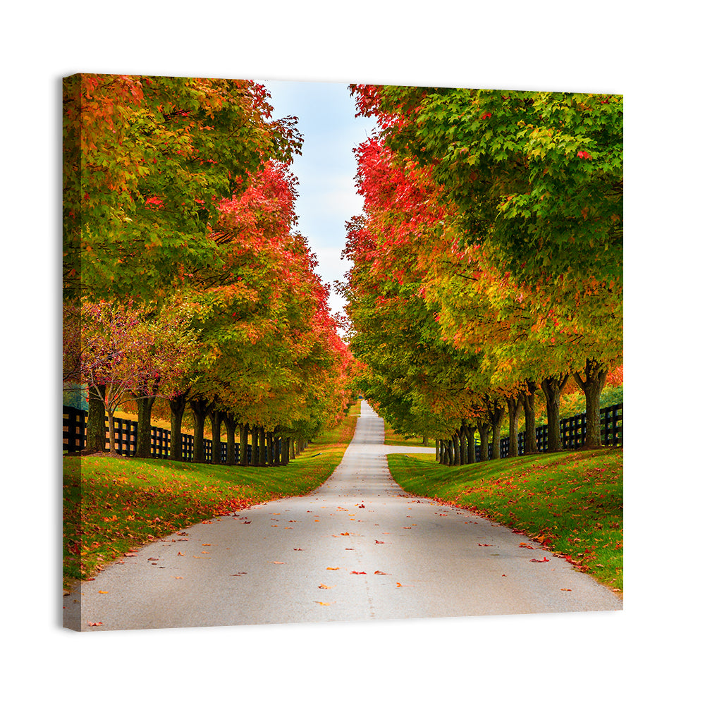 Tree-lined Farm Lane, Kentucky Wall Art