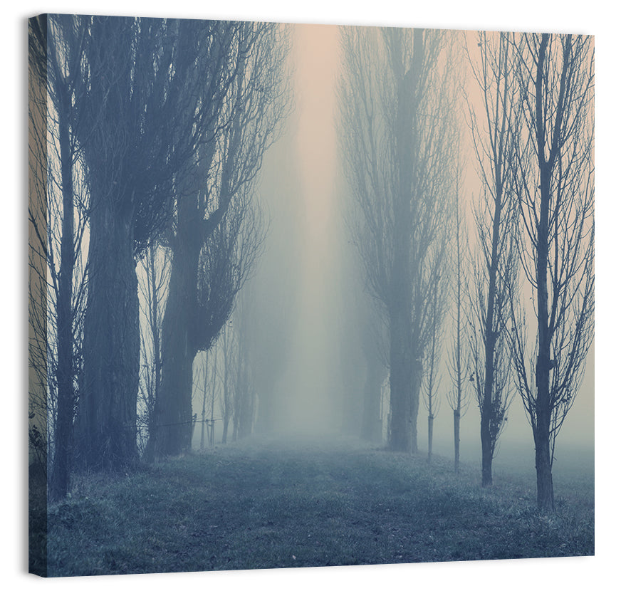 Misty Forest Pathway in Fog Wall Art, canvas print, square