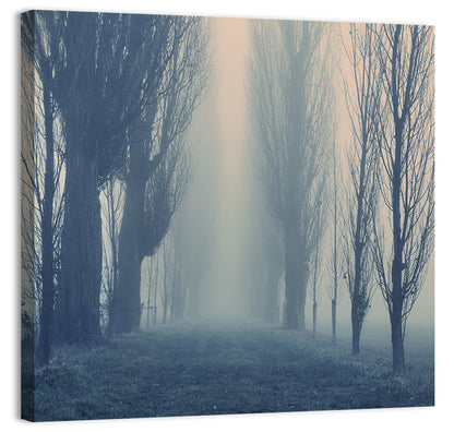 Foggy Forest Pathway Wall Art