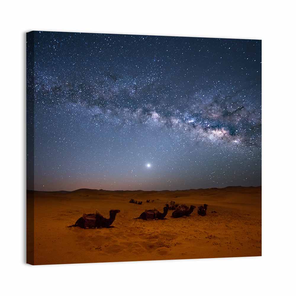 Sahara Night Sky with Camels Wall Art