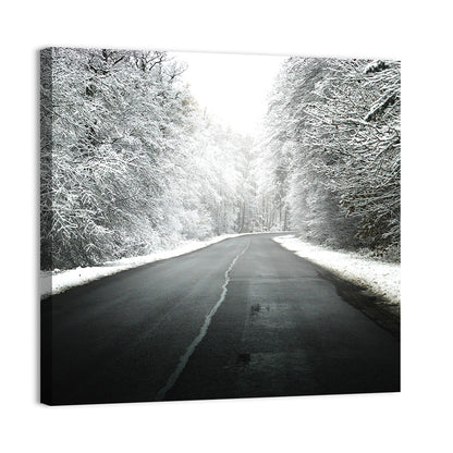 Foggy Winter Road Wall Art