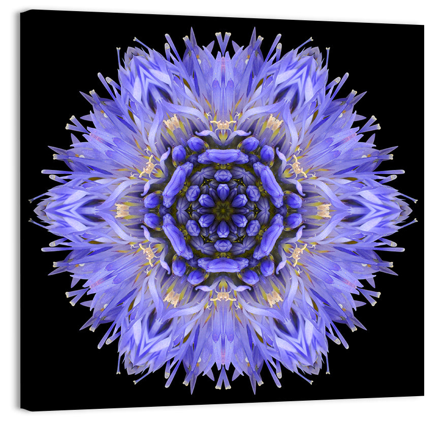 Cornflower Mandala Kaleidoscope Wall Art, canvas print, square