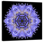 Cornflower Mandala Kaleidoscope Wall Art