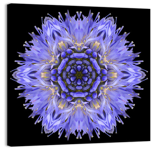 Mandala Cornflower Wall Art