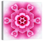 Pink Carnation Kaleidoscope Mandala Wall Art