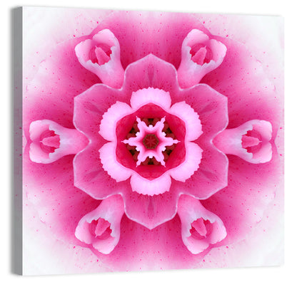 Carnation Flower Wall Art