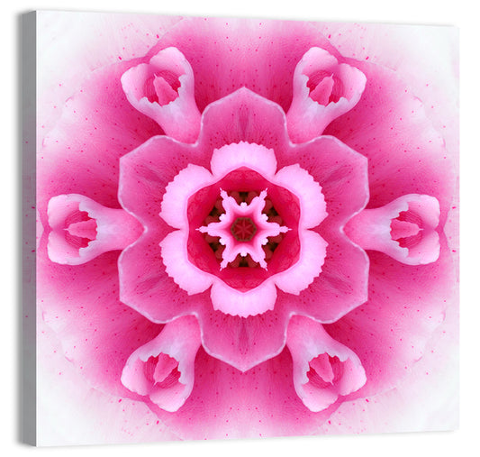 Carnation Flower Wall Art