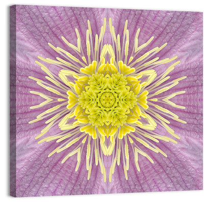 Concentric Mandala Floral Wall Art