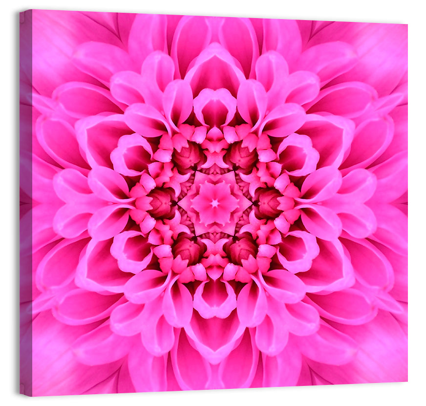 Chrysanthemum Flower Wall Art