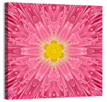 Daisy Flower Wall Art