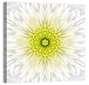 White Mandala Flower Wall Art