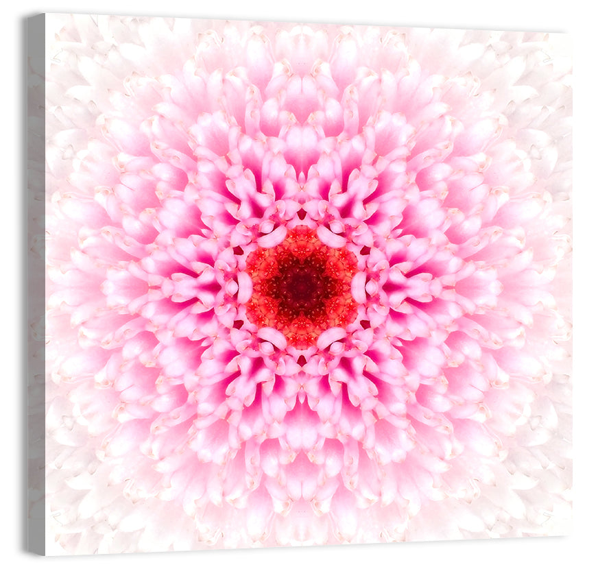 Pink Chrysanthemum Mandala with Deep Red Center Wall Art