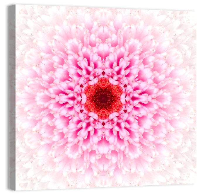 Pink Chrysanthemum Mandala with Deep Red Center Wall Art as a canvas print