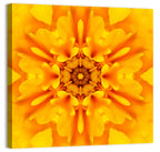 Golden Dahlia Mandala Wall Art
