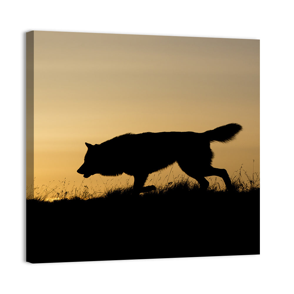 Wolf at Golden Horizon Wall Art