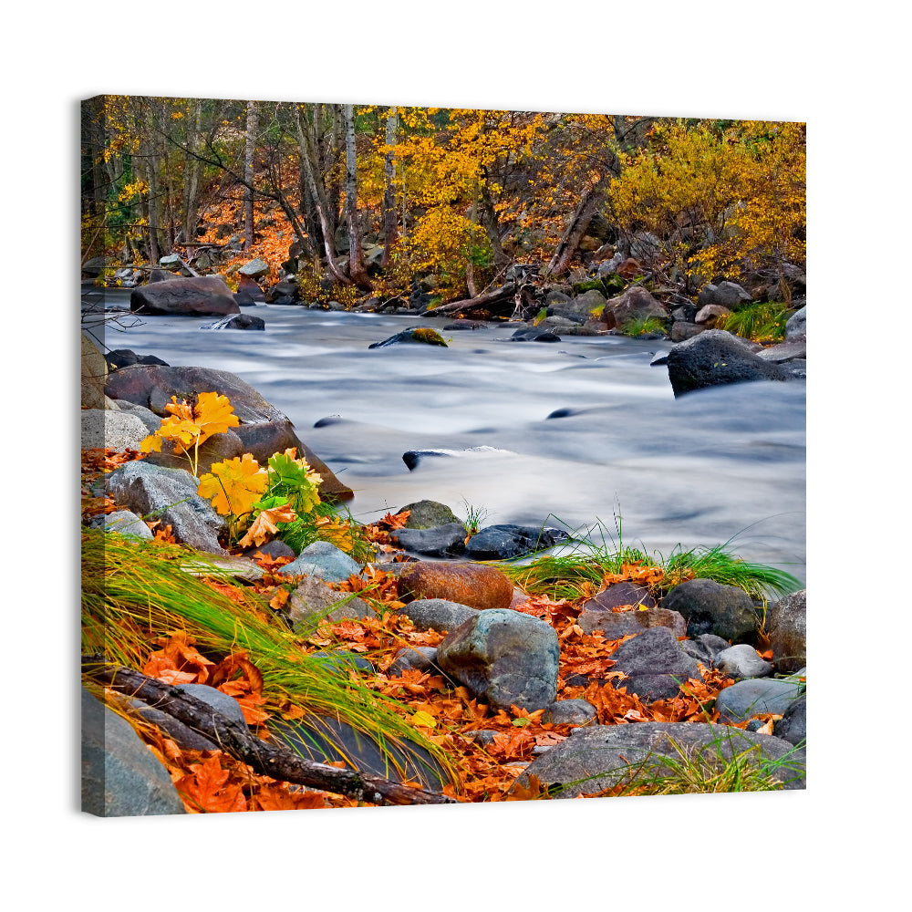 Golden Autumn Forest Creek Wall Art