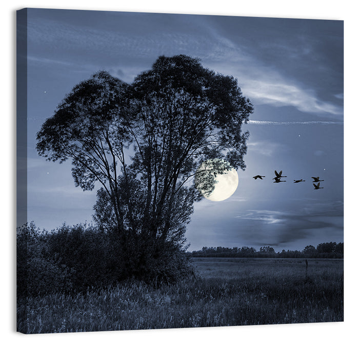 Moonlit Birds Over Quiet Field Wall Art as a canvas print