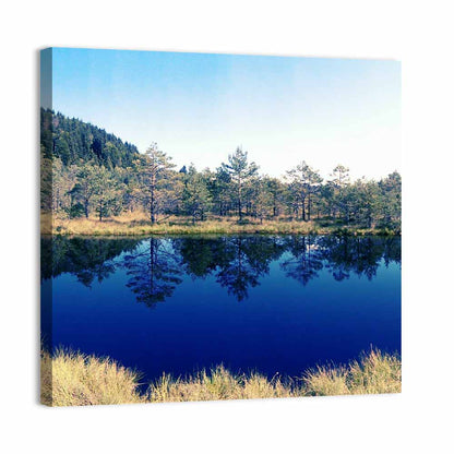Tundra Reservation Park Lake Wall Art