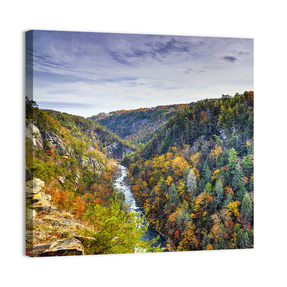 Tallulah Gorge Autumn Vista Wall Art