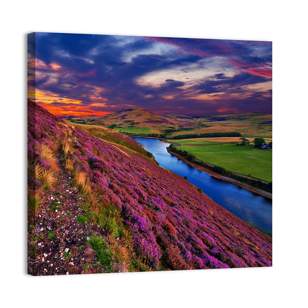 Pentland Hills Heather, Edinburgh Wall Art, canvas print, square