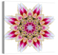 Pink Lily Star Mandala Pattern Wall Art