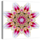 Pink Lily Star Mandala Pattern Wall Art