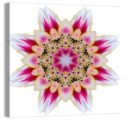 Star Mandala Pattern Wall Art