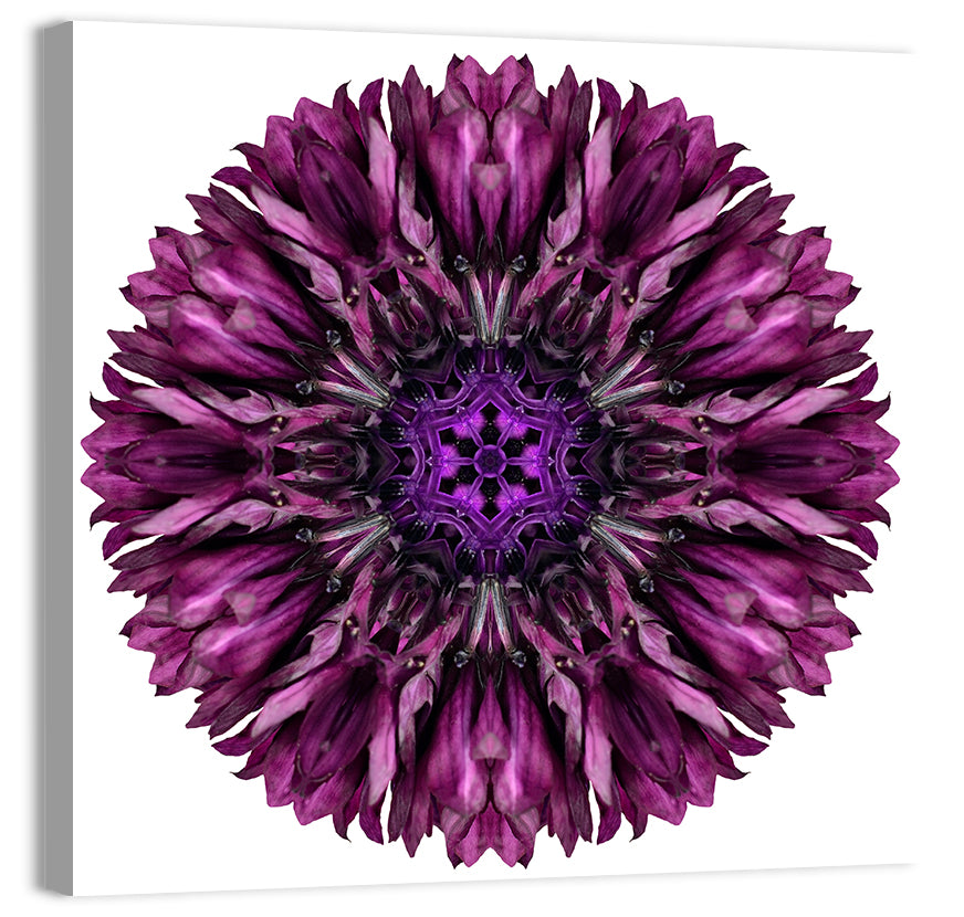 Purple Cornflower Kaleidoscope Mandala Wall Art