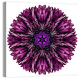 Purple Cornflower Kaleidoscope Mandala Wall Art