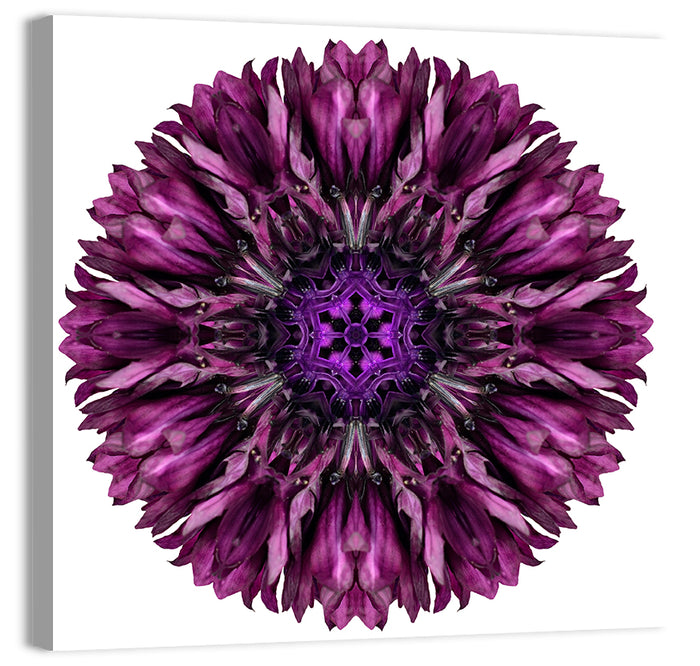 Purple Cornflower Kaleidoscope Mandala Wall Art as a canvas print