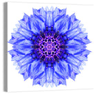 Cornflower Mandala with Dark Violet Center Wall Art