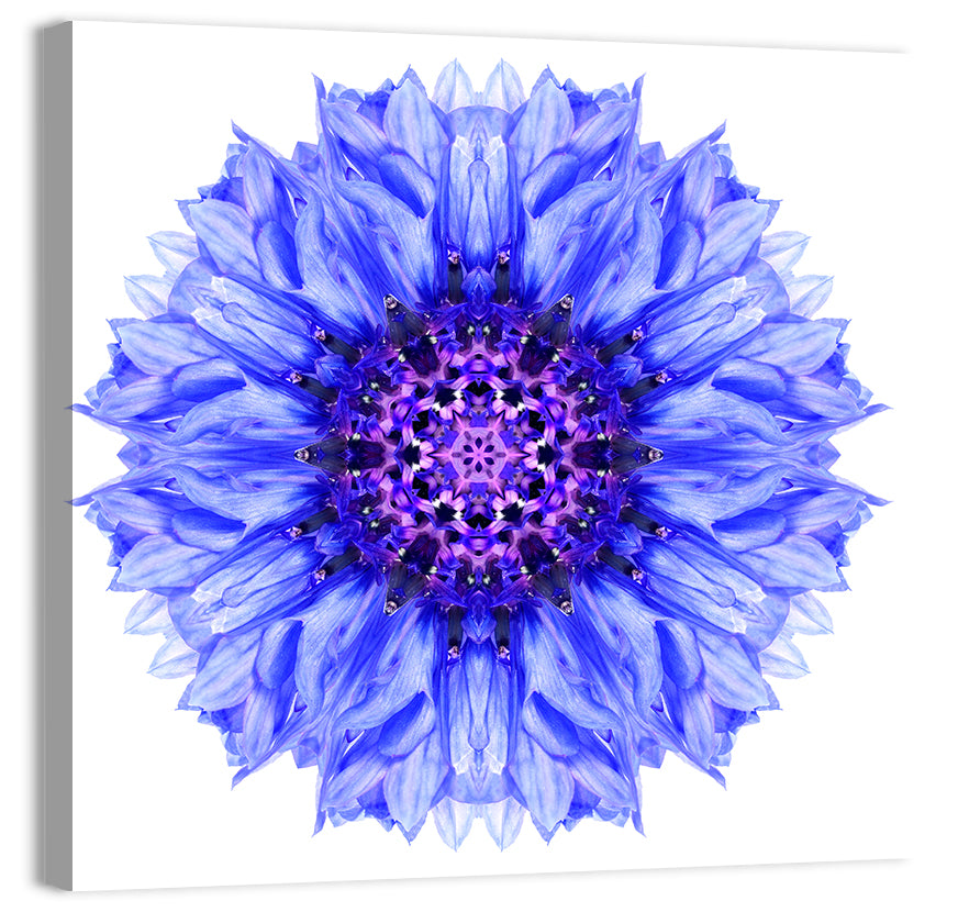 Cornflower Mandala Pattern Wall Art