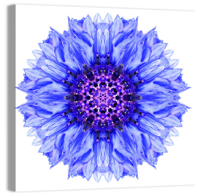 Cornflower Mandala Pattern Wall Art