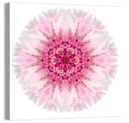 Pink Cornflower Kaleidoscope Mandala Wall Art