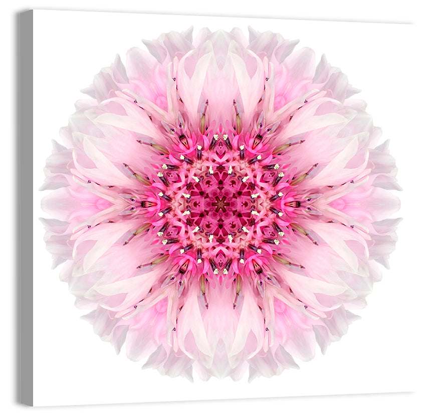 Pink Cornflower Kaleidoscope Mandala Wall Art