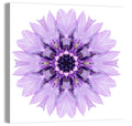 Lavender Cornflower Mandala Wall Art