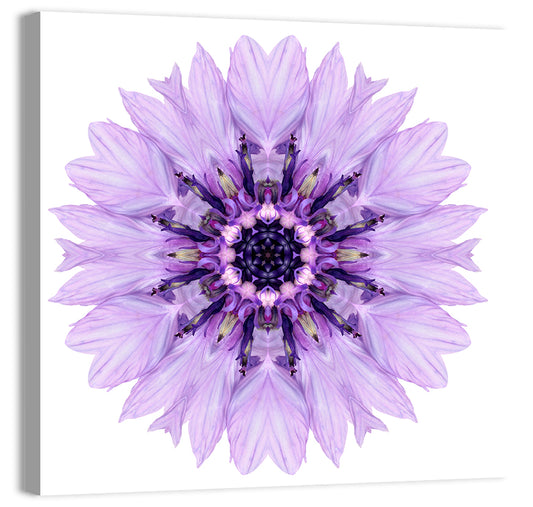 Purple Cornflower Mandala Wall Art