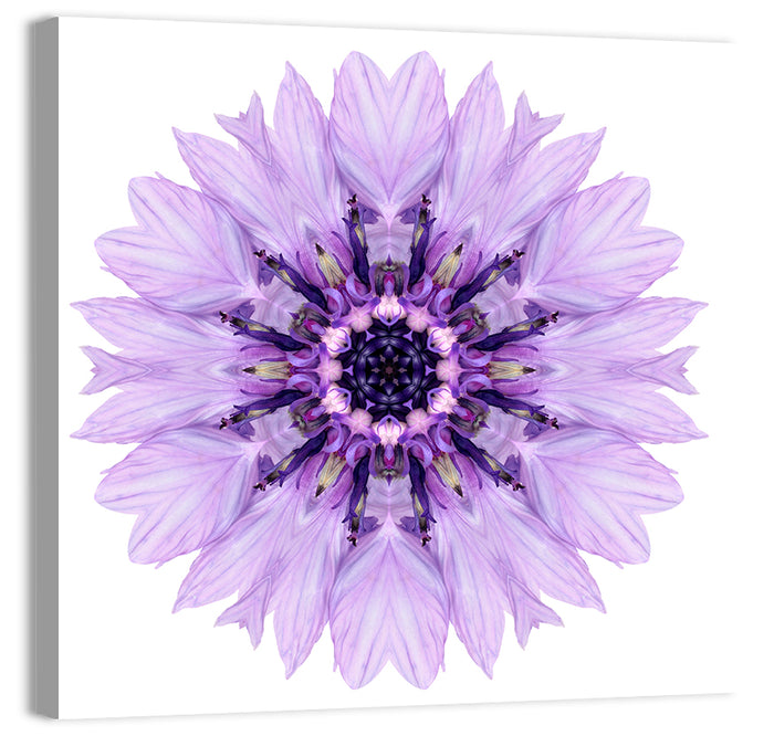 Lavender Cornflower Mandala Wall Art as a canvas print