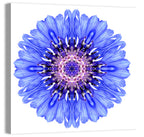 Blue Cornflower Mandala Pattern Wall Art