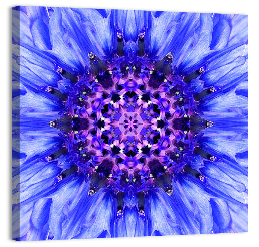 Kaleidoscopic Cornflower Mandala Wall Art, canvas print, square