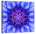 Kaleidoscopic Cornflower Mandala Wall Art