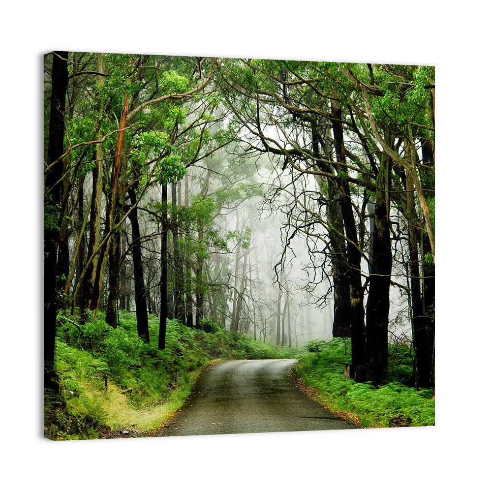 Foggy Forest Road Wall Art