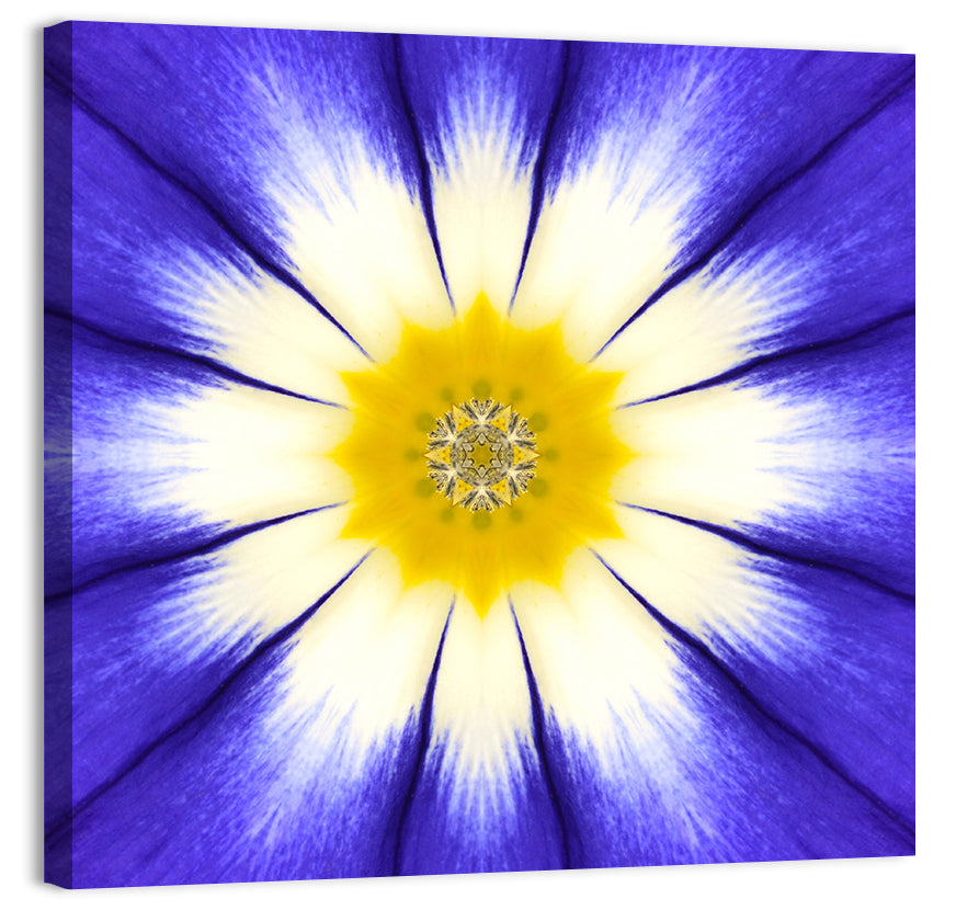 Blue Cornflower Mandala Bloom Wall Art, canvas print, square