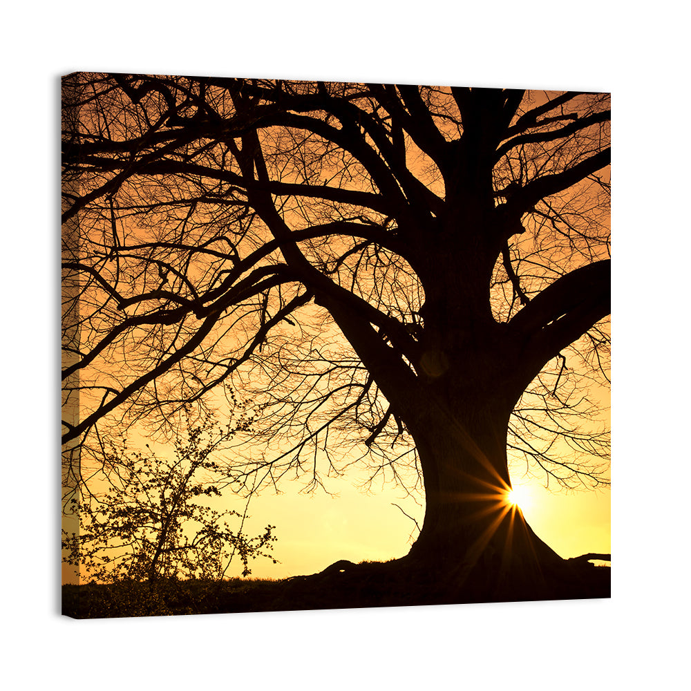 Willow Tree Sunset Wall Art