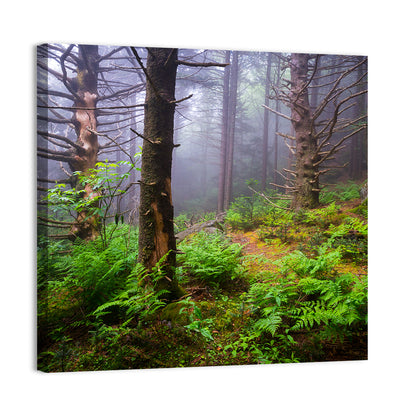 Forest Hiking Trail Wall Art