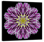 Kaleidoscopic Pink Floral Mandala Wall Art