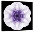 Purple Mandala Flower Kaleidoscope Wall Art