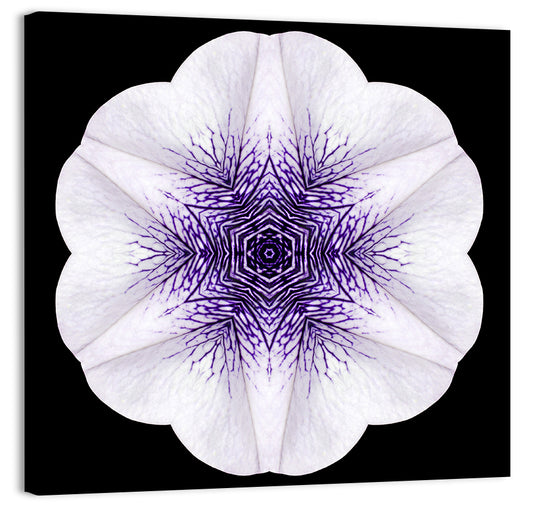 Circular Mandala Flower Wall Art